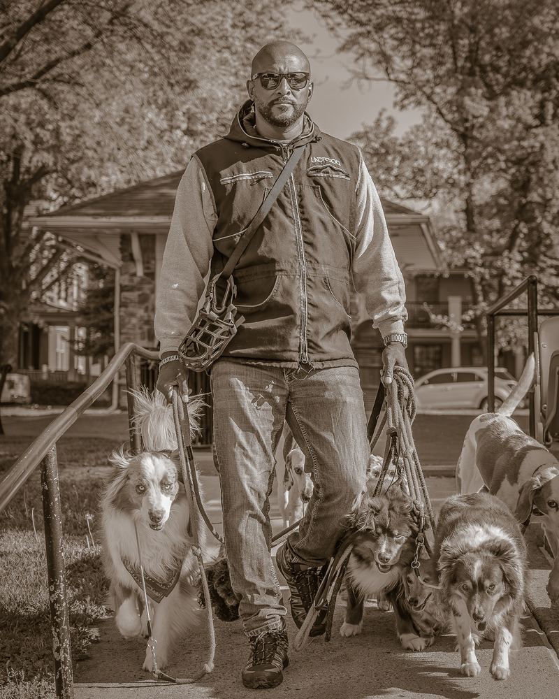 Jay of Salty Chief K9 working with his pack of dogs, business brand photography by Campbell Shepard
