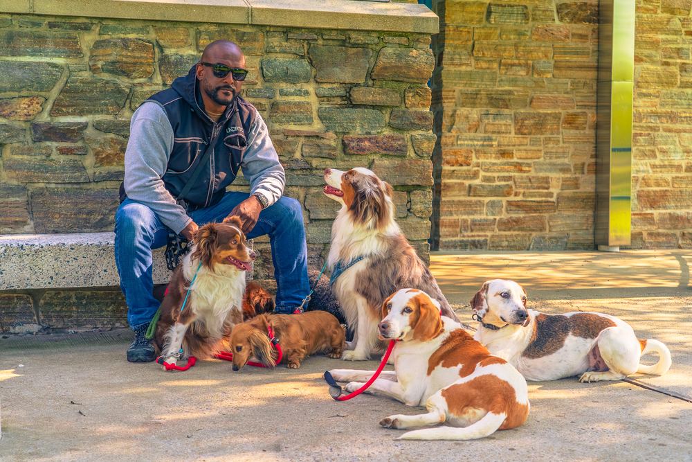 Salty Chief K9 dog handler Jay with the pack, brand and pet photography by Campbell Shepard, Frederick, MD