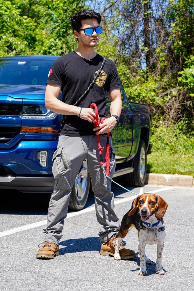 Riley the beagle on leash beside a truck with his owner, pet portrait by Campbell Shepard, Frederick, MD