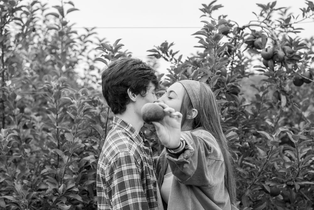 Black and white photograph of a couple sharing an apple at a Frederick area orchard, engagement photography by Campbell Shepard
