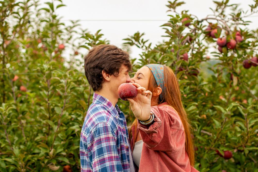 Couple laughing together in an apple orchard in autumn, engagement session by Campbell Shepard, Frederick, MD